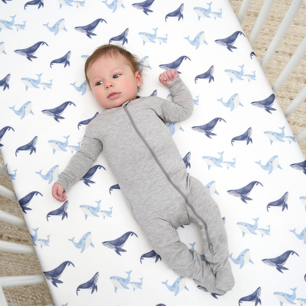 2-Pack Baby & Toddlerboys Coastal Calm Crib Sheet