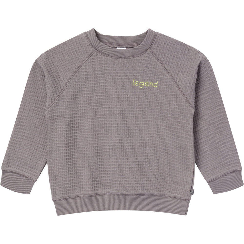 2-Piece Infant & Toddler Boys Grey Long Sleeve Top and Shorts Set outfits Modern Moments™ by Gerber®