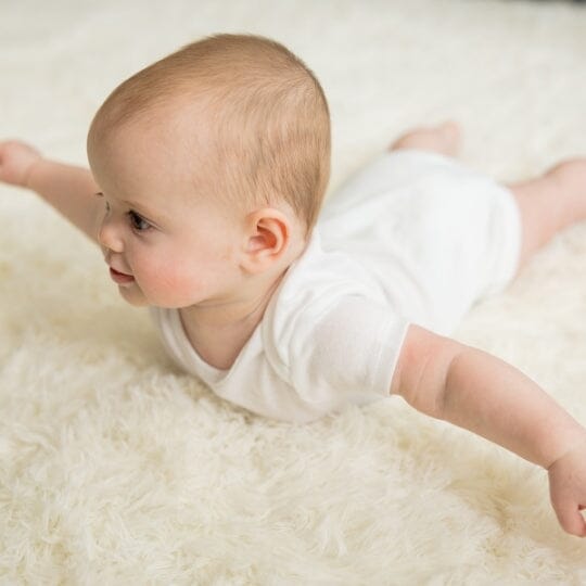 Baby Onesies® Bodysuits