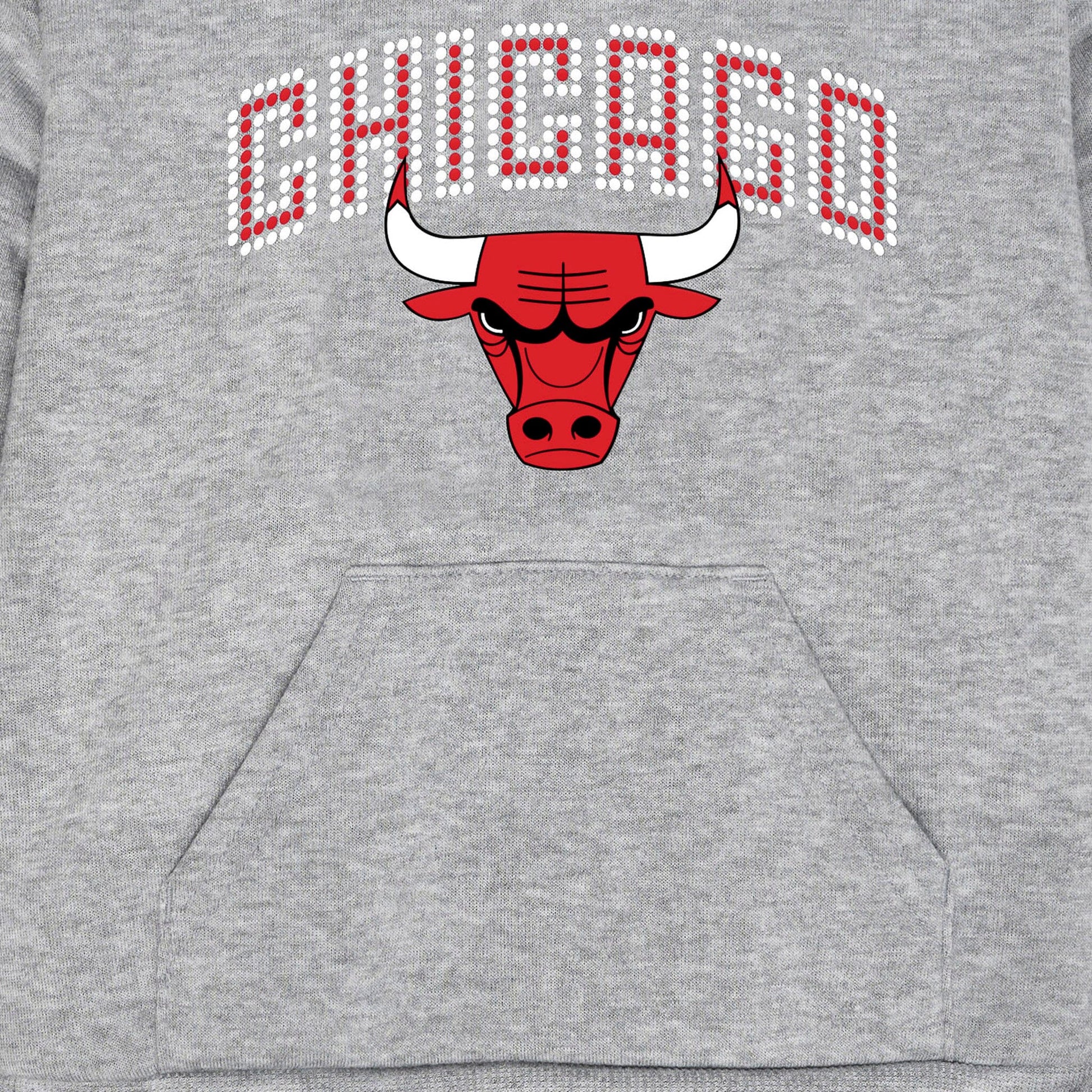 Infant & Toddler Neutral Gray Chicago Bulls Hoodie NBA NBA® 