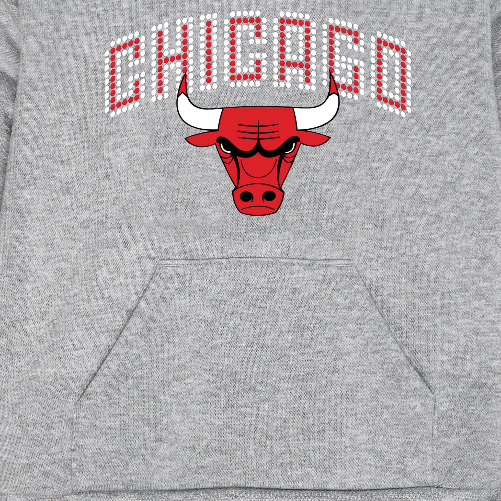 Infant & Toddler Neutral Gray Chicago Bulls Hoodie NBA NBA® 