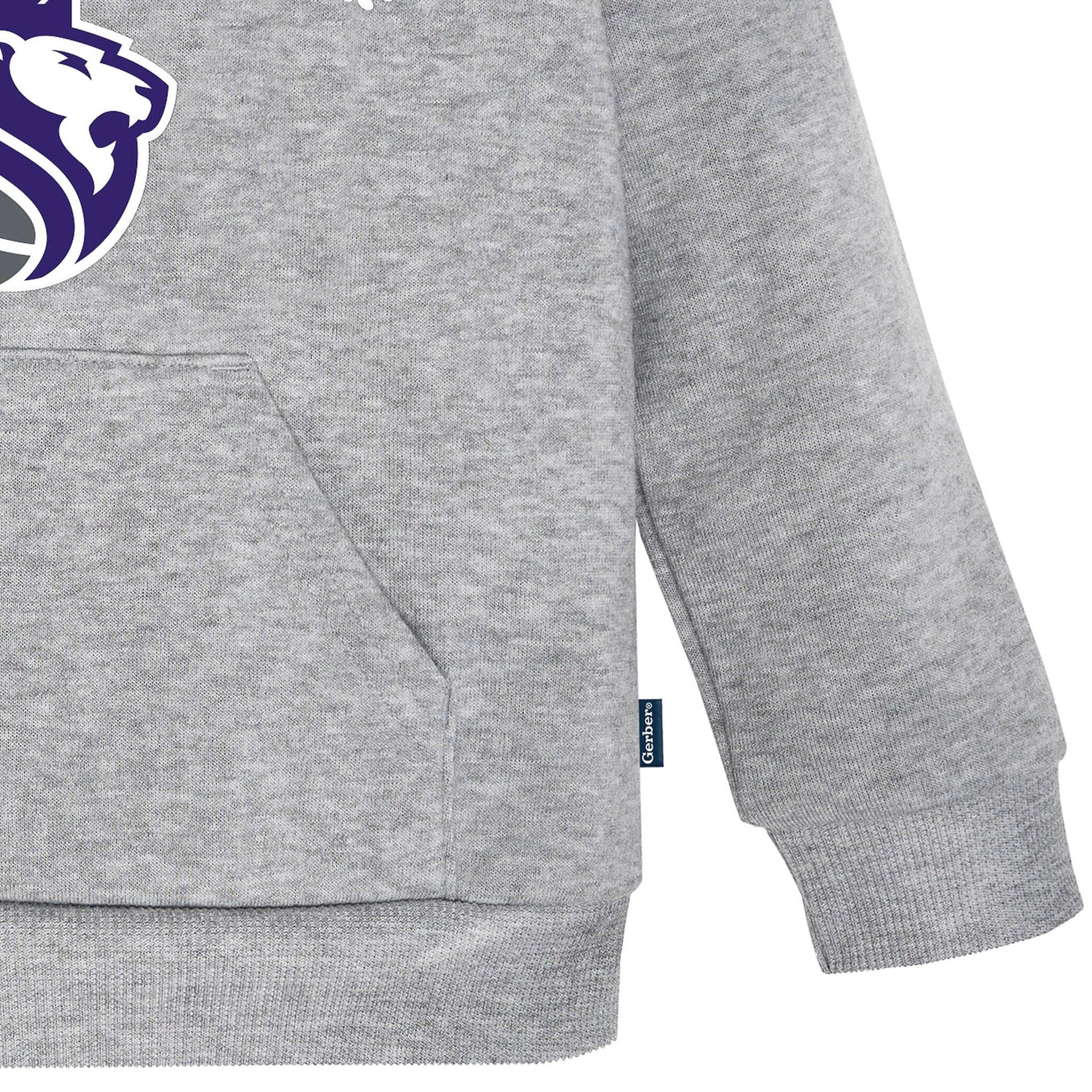 Infant & Toddler Neutral Gray Sacramento Kings Hoodie NBA NBA® 