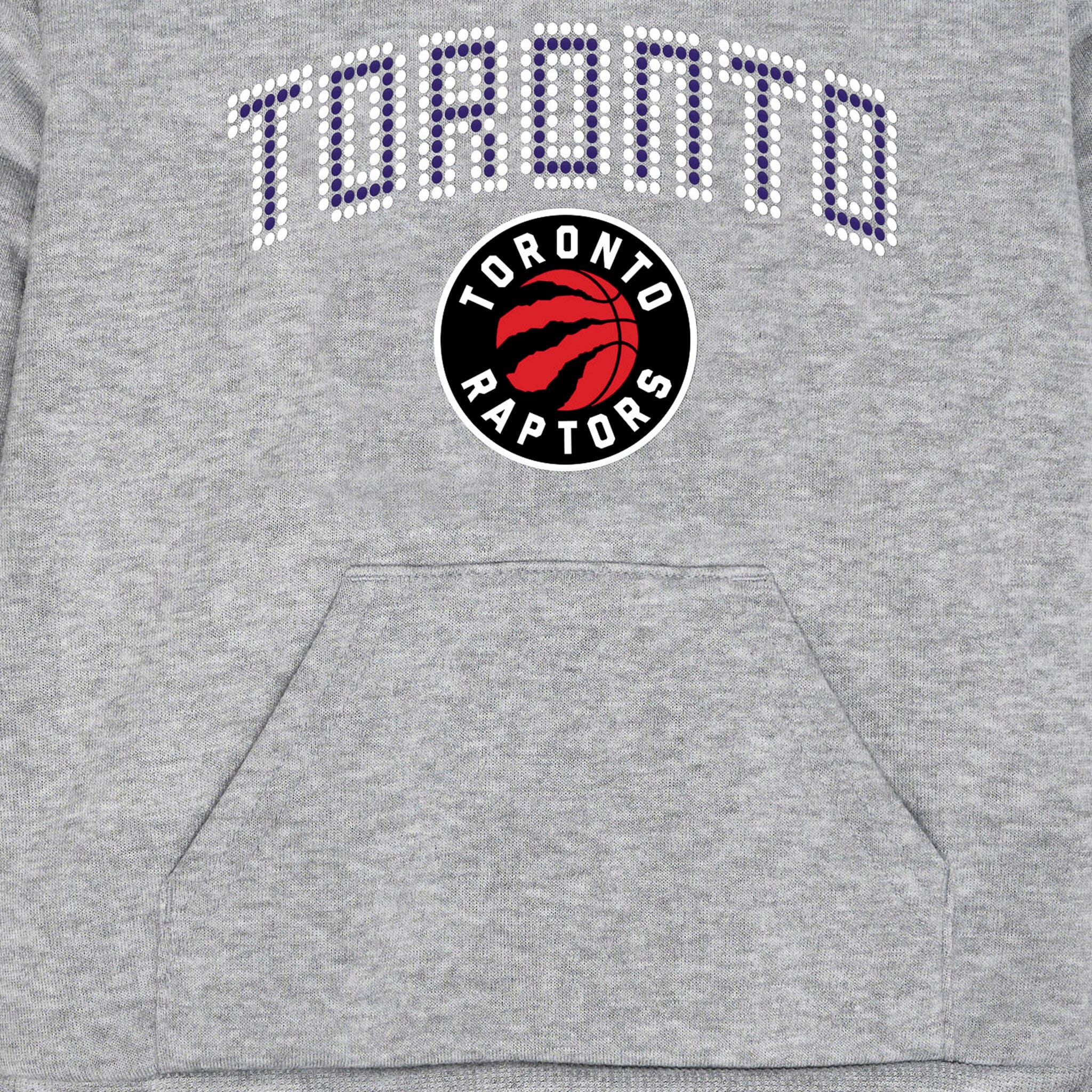 Infant & Toddler Neutral Gray Toronto Raptors Hoodie NBA NBA® 