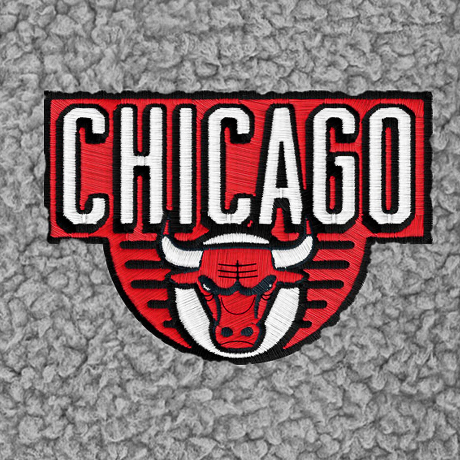 Infant & Toddler Neutral Gray Chicago Bulls Quarter-Zip Pullover NBA NBA® 