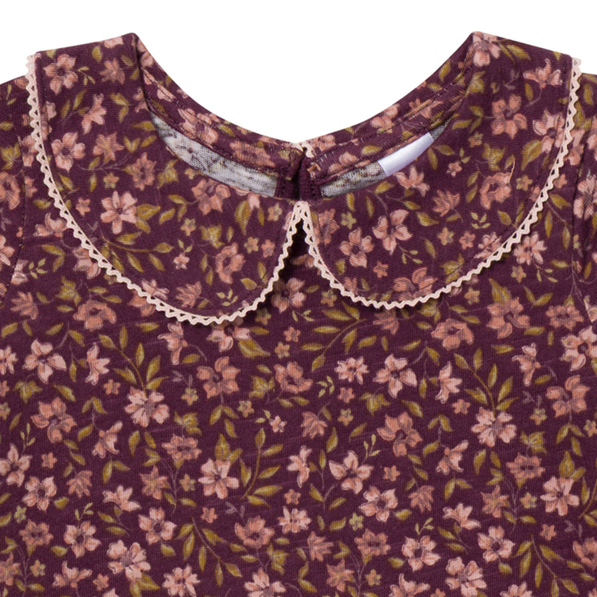 2-Pack Baby Girls Rose Peter Pan Collar Bodysuit