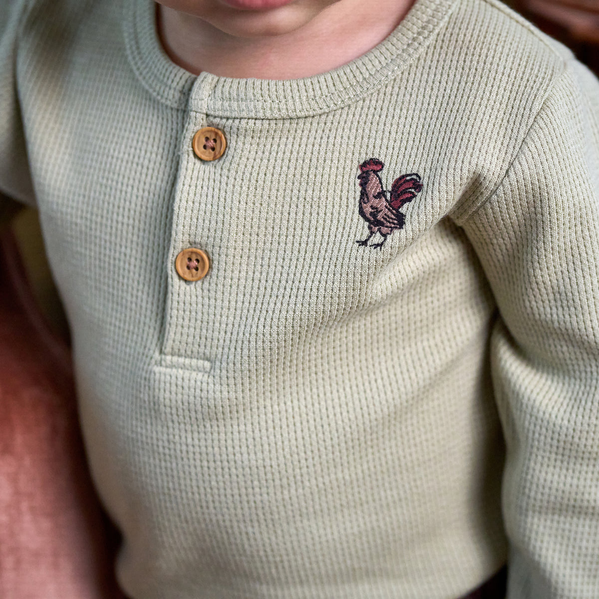 2-Pack Baby Boys Forest Henley Bodysuit