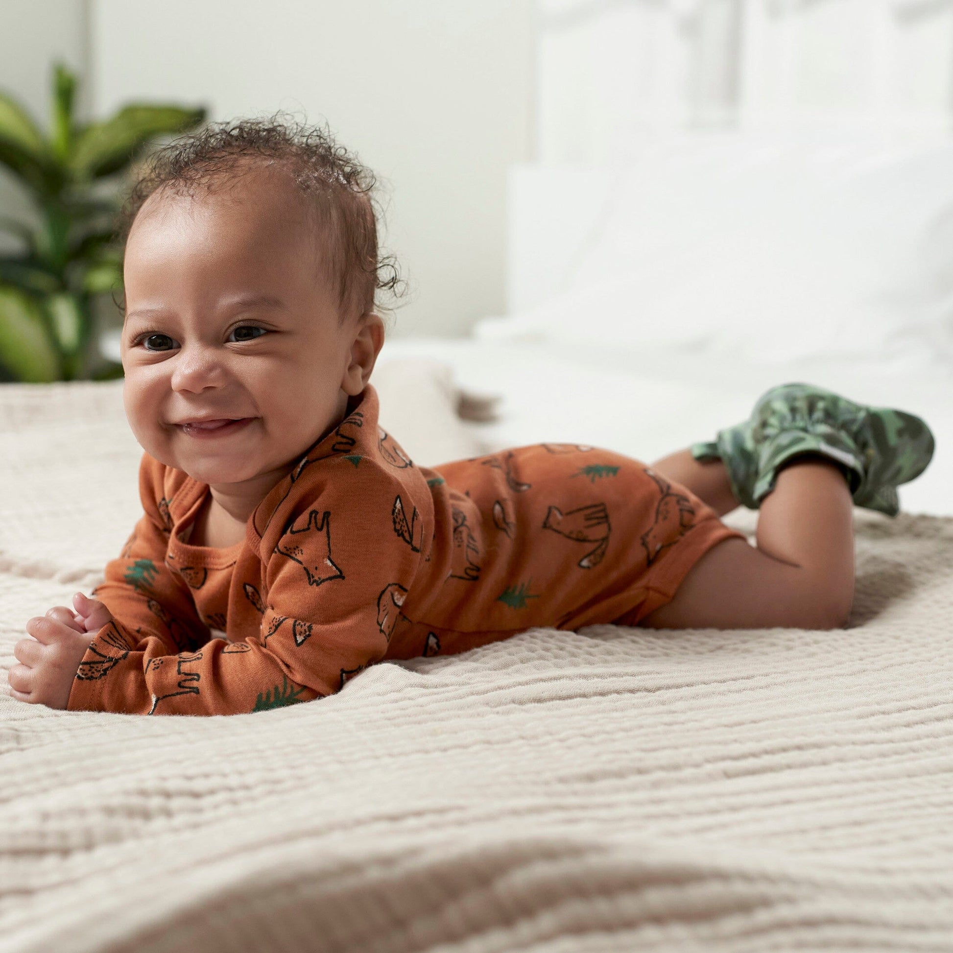 6-Pack Baby Boys Fox Onesies® Bodysuits