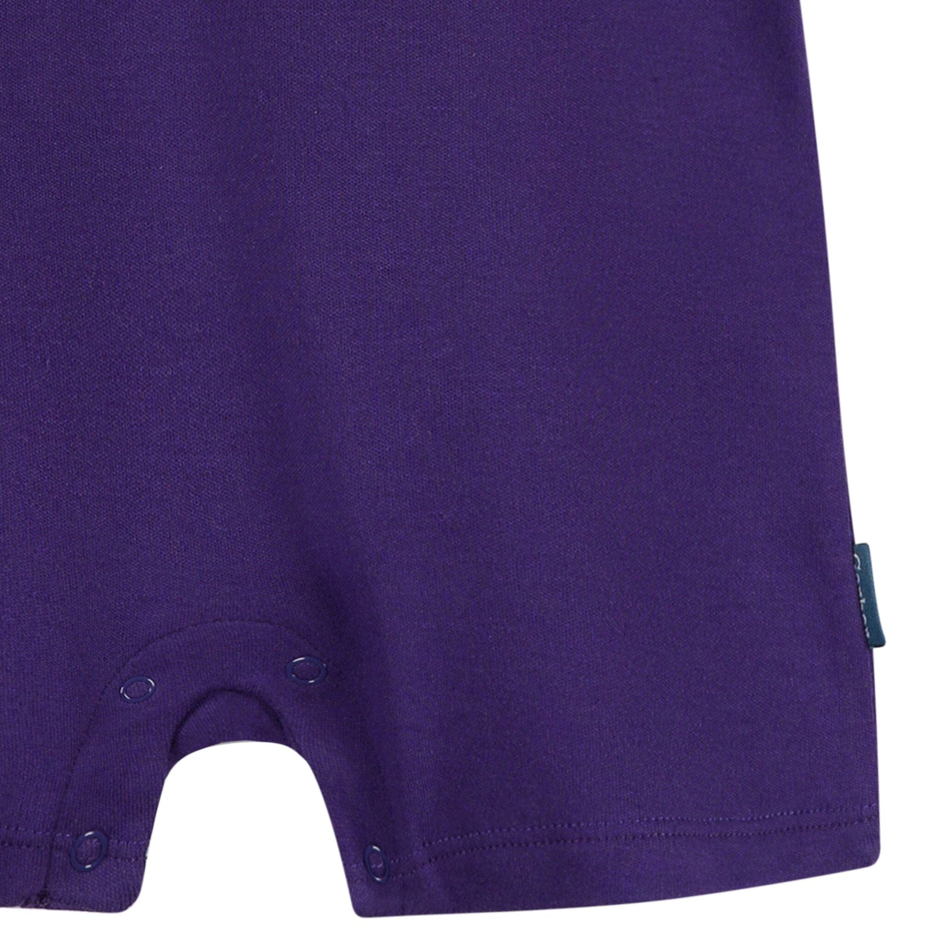 Baby Boys Minnesota Vikings Romper NFL NFL 