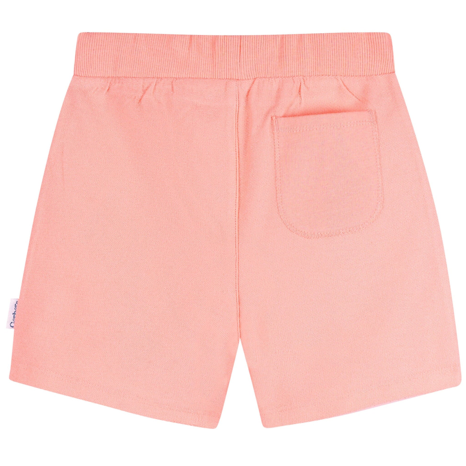 2-Pack Baby & Toddler Girls Pink & Purple Knit Shorts Pants & Bottoms Gerber® 