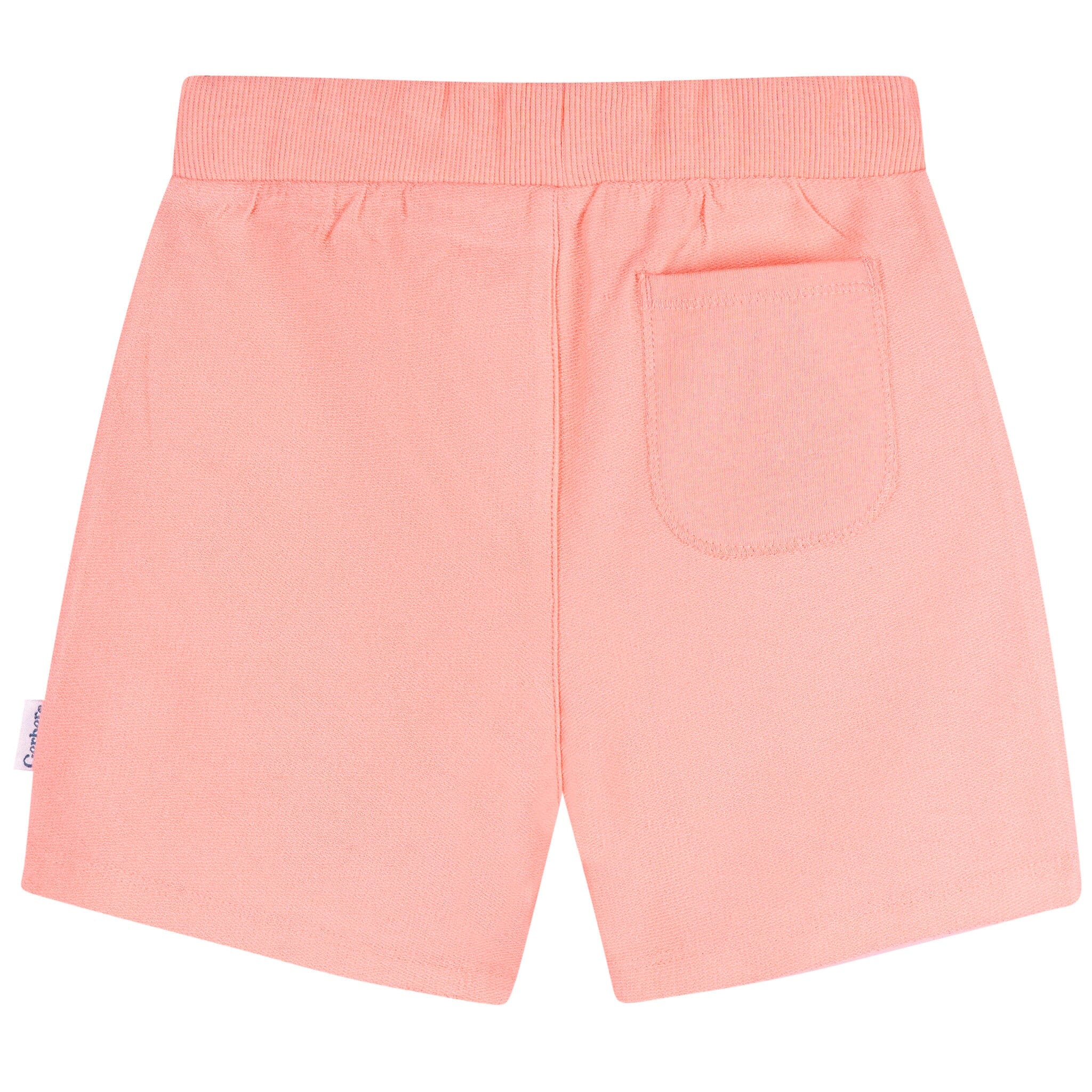 2-Pack Baby & Toddler Girls Pink & Purple Knit Shorts Pants & Bottoms Gerber® 