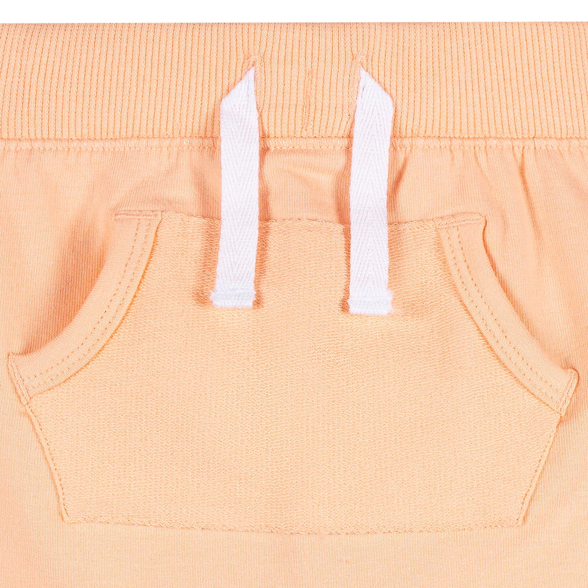2-Pack Baby Boys Aqua & Peach Shorts Pants & Bottoms Gerber® 