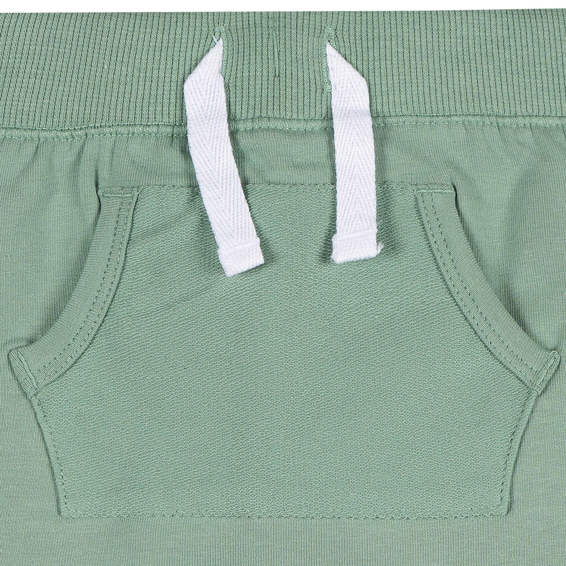 2-Pack Baby Boys Blue & Green Shorts Pants & Bottoms Gerber® 