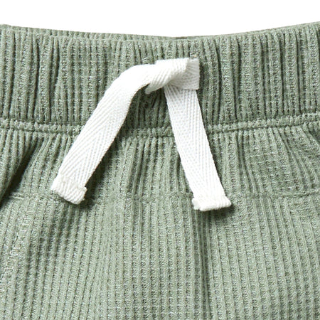 Infant & Toddler Boys Green Harem Kangaroo Pocket Shorts