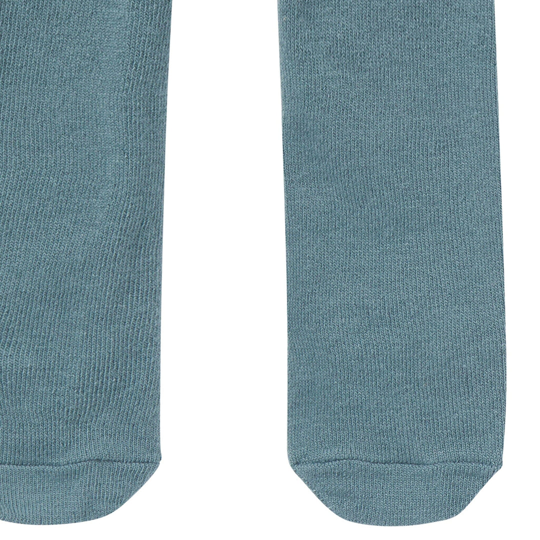 2-Piece Baby Girls Apple Cinnamon Floral Dress and Tights Set Dresses Gerber® 