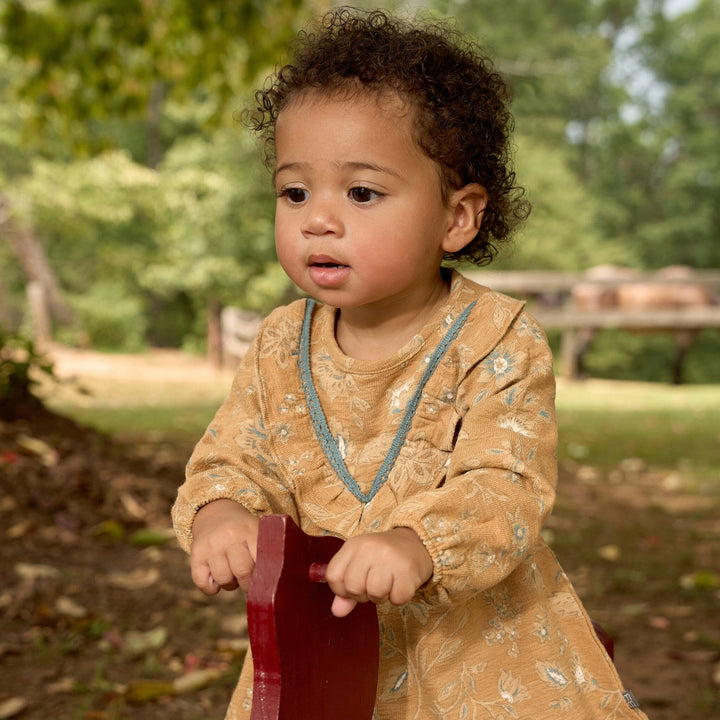 2-Piece Baby Girls Apple Cinnamon Floral Dress and Tights Set Dresses Gerber® 