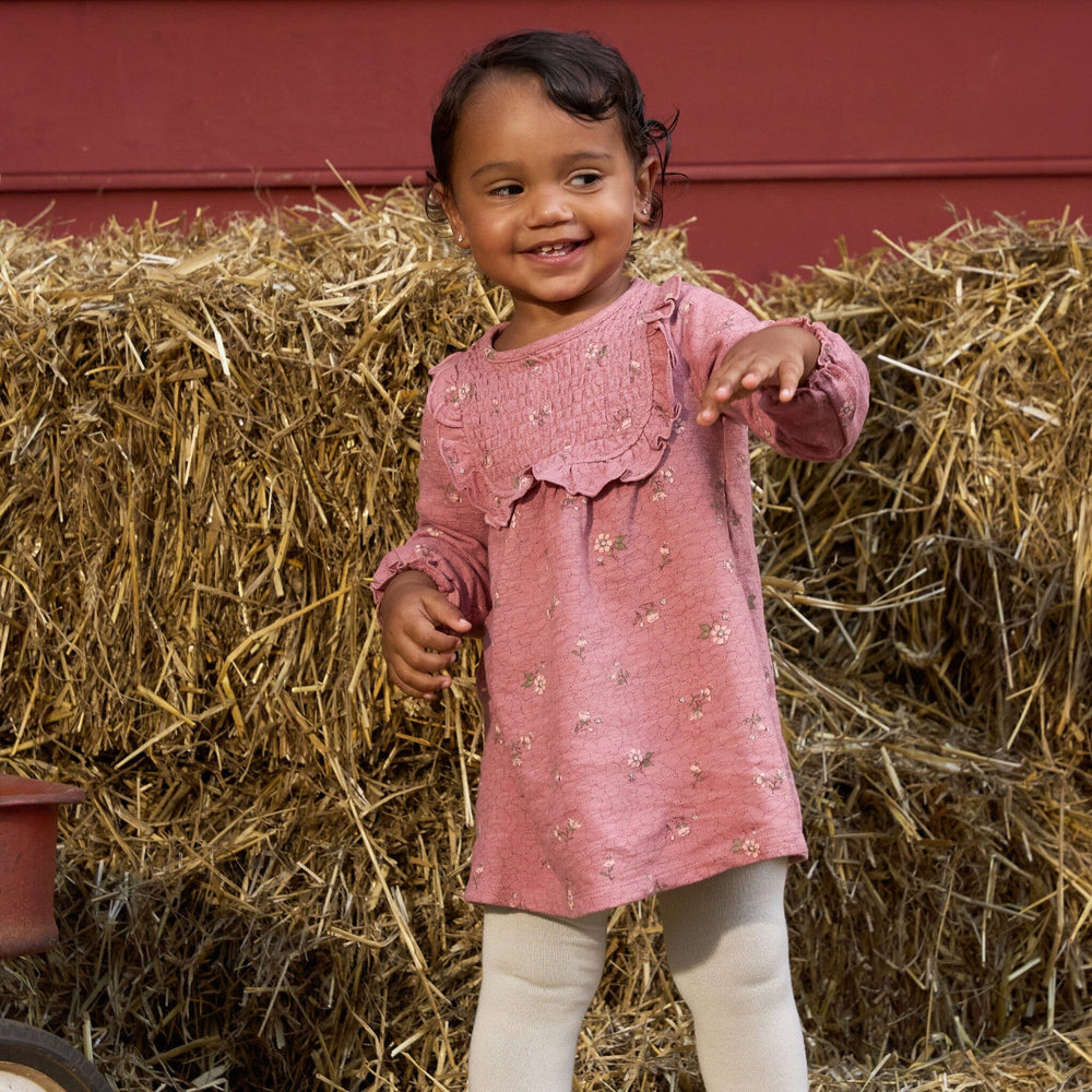 2-Piece Baby Girls Old Rose Floral Dress and Tights Set Dresses Gerber® 