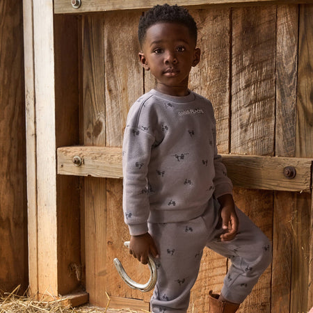 2-Piece Boys Grey Scooter Sweatshirt and Jogger Set