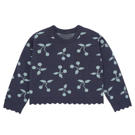 2-Piece Infant & Toddler Girls Blue Cherry Sweater and Pant Set