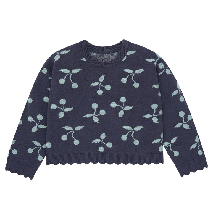 2-Piece Baby Girls Blue Fruit Jacquard Seater Knit Top and Pant Set Outfits & Sets Gerber® 