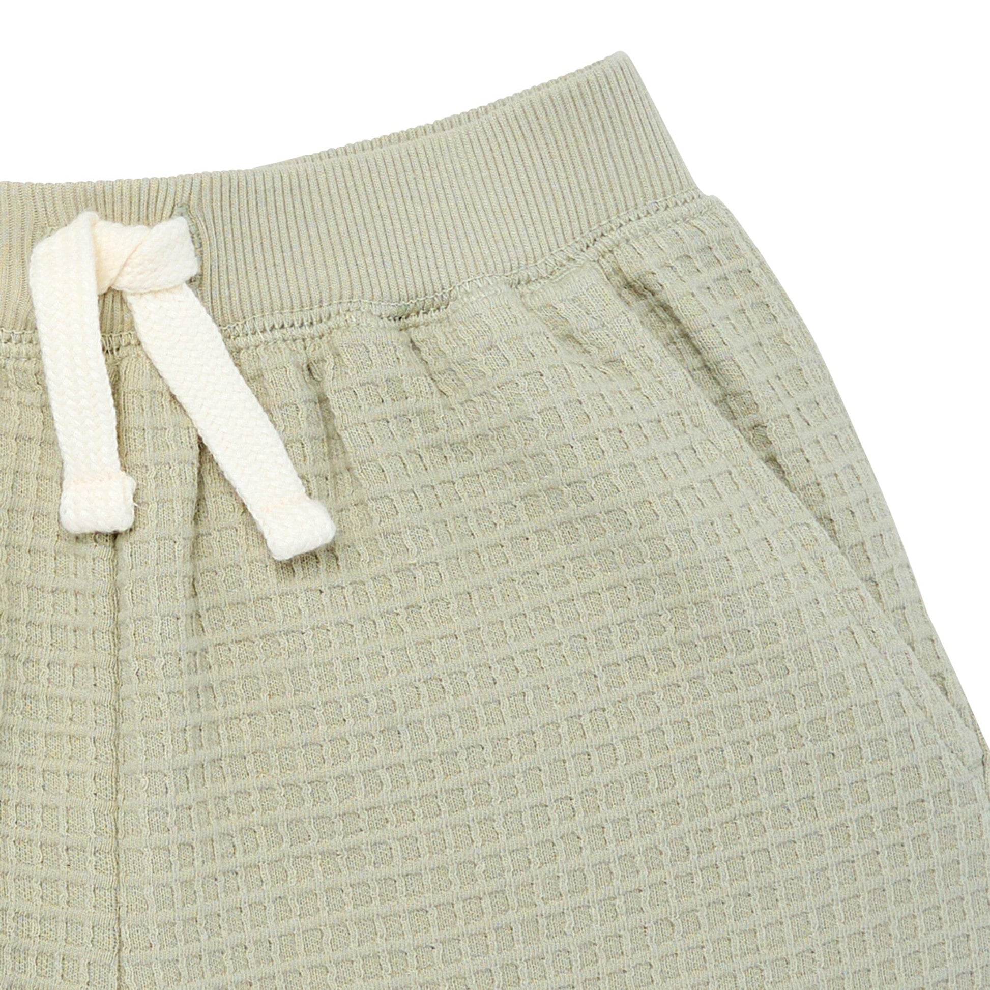 2-Piece Infant & Toddler Boys Light Green Long Sleeve Top and Shorts Set outfits Modern Moments™ by Gerber® 