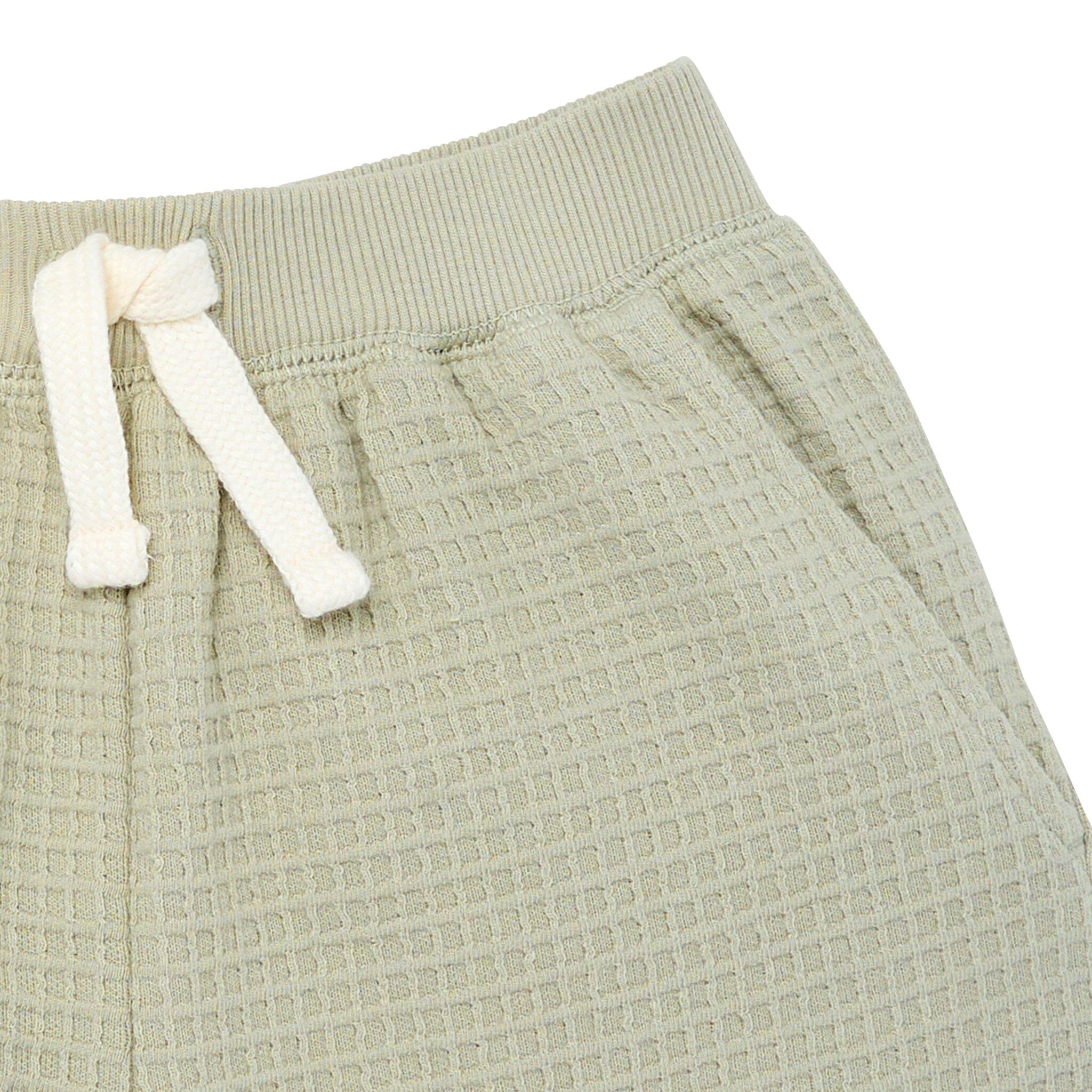 2-Piece Infant & Toddler Boys Light Green Long Sleeve Top and Shorts Set outfits Modern Moments™ by Gerber® 