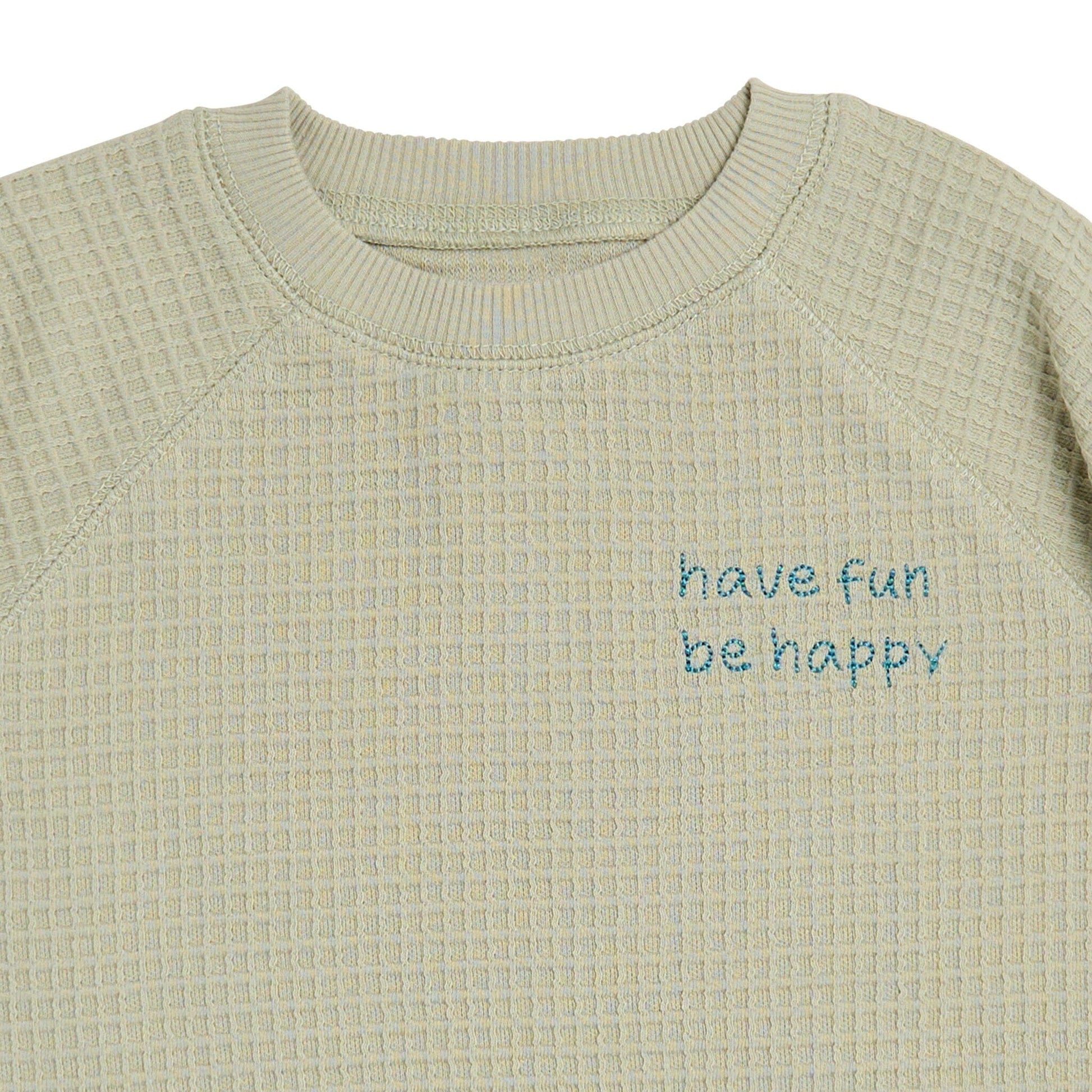 2-Piece Infant & Toddler Boys Light Green Long Sleeve Top and Shorts Set outfits Modern Moments™ by Gerber® 