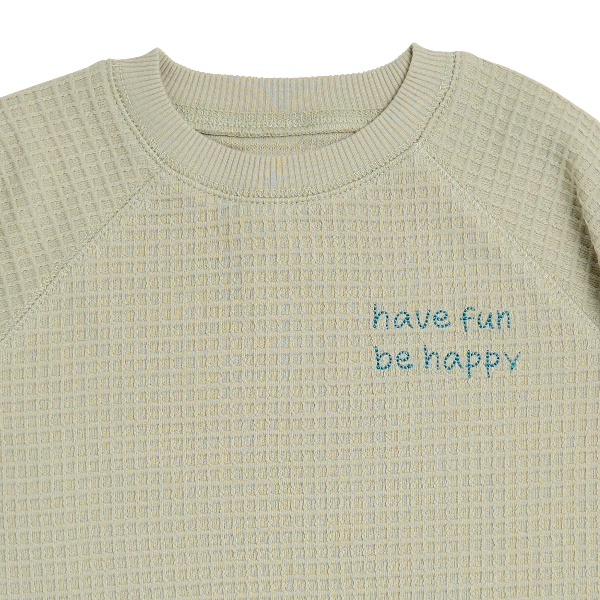 2-Piece Infant & Toddler Boys Light Green Long Sleeve Top and Shorts Set outfits Modern Moments™ by Gerber® 