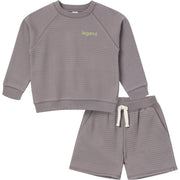 2-Piece Infant & Toddler Boys Grey Long Sleeve Top and Shorts Set outfits Modern Moments™ by Gerber® 