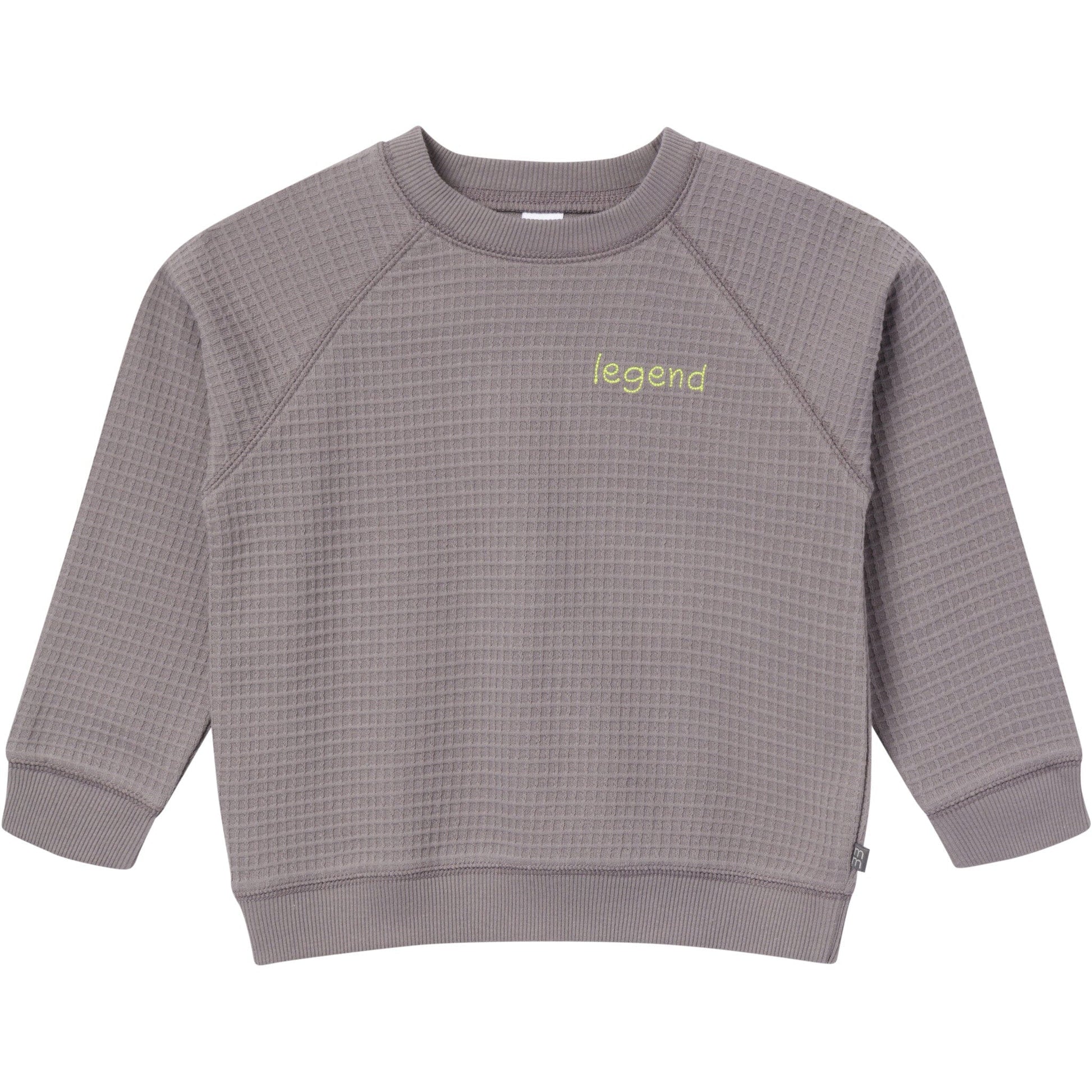 2-Piece Infant & Toddler Boys Grey Long Sleeve Top and Shorts Set outfits Modern Moments™ by Gerber® 