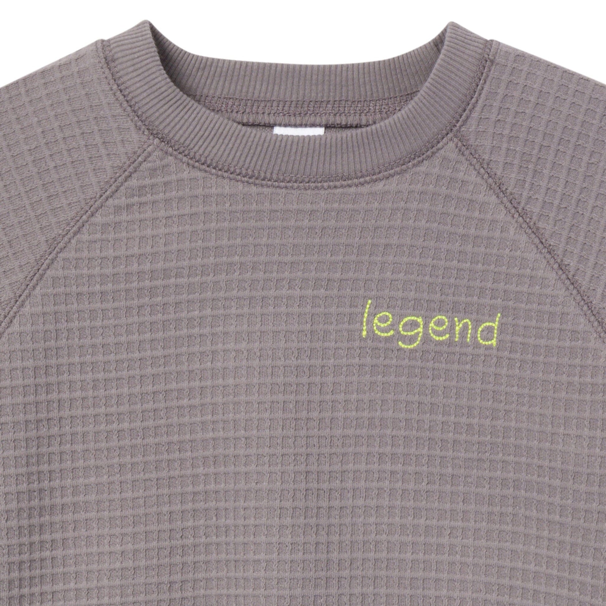 2-Piece Infant & Toddler Boys Grey Long Sleeve Top and Shorts Set outfits Modern Moments™ by Gerber® 