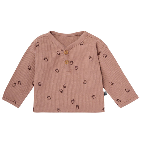 4-Piece Baby Boys Acorns Henley Tops and Pants Set