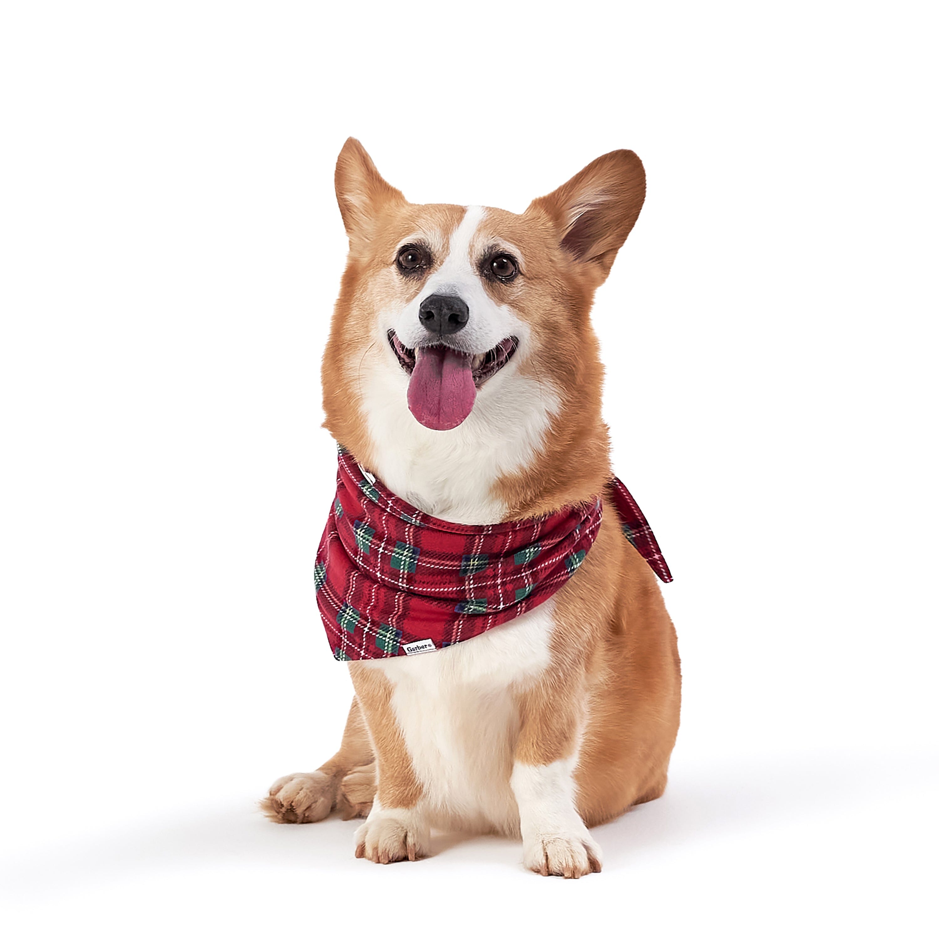 Stewart Plaid Pet Bandana