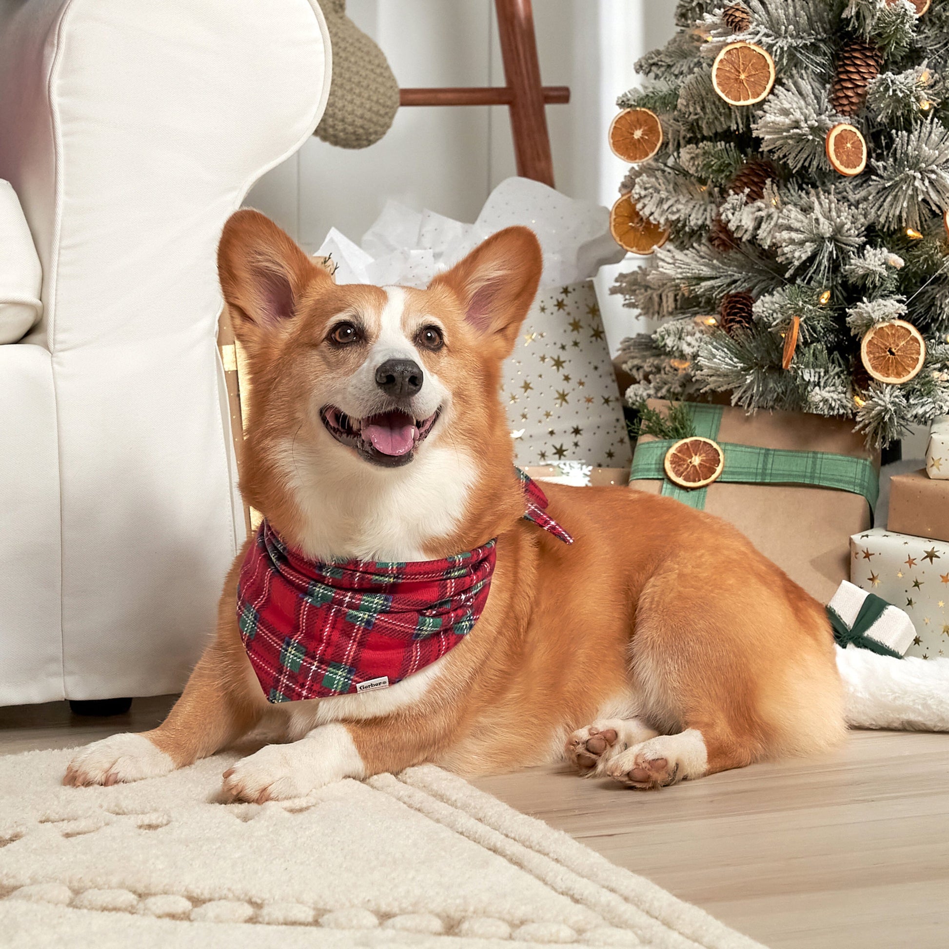 Stewart Plaid Pet Bandana