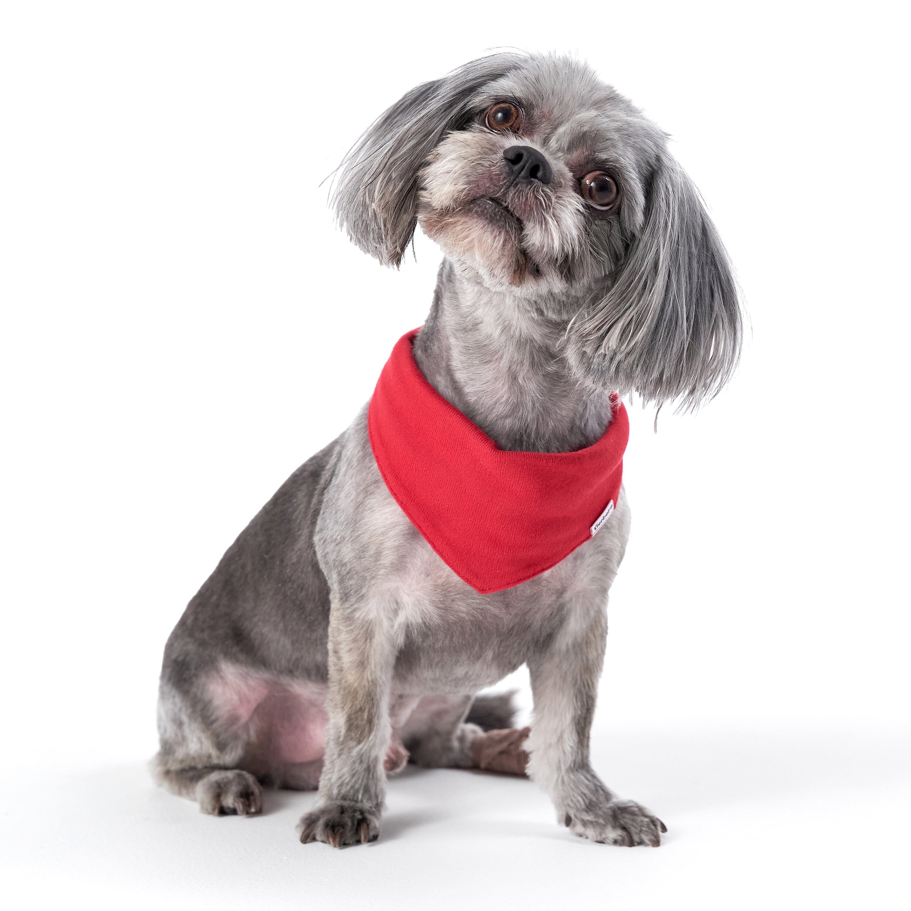 Red Pet Bandana