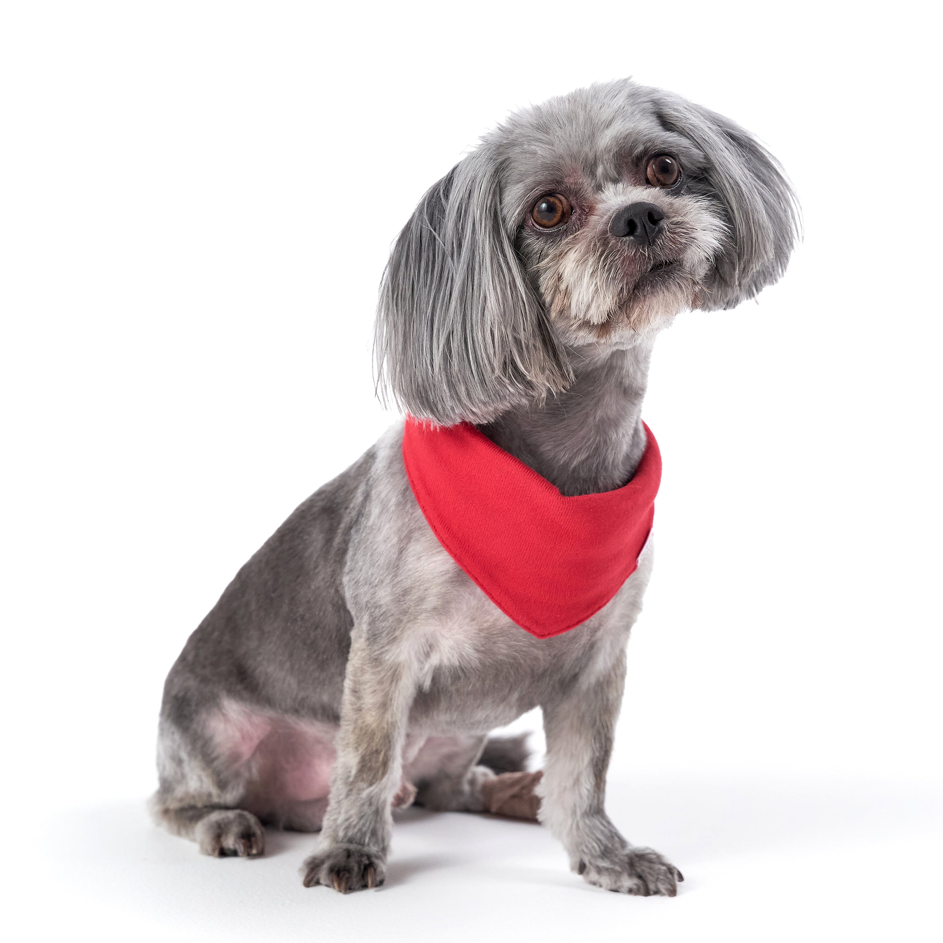 Red Pet Bandana