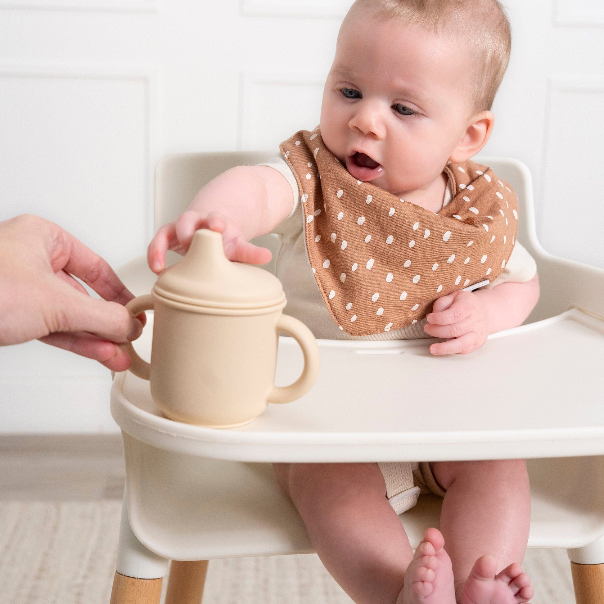 10-Pack Baby Neutral Multi Rust Bandana Bib