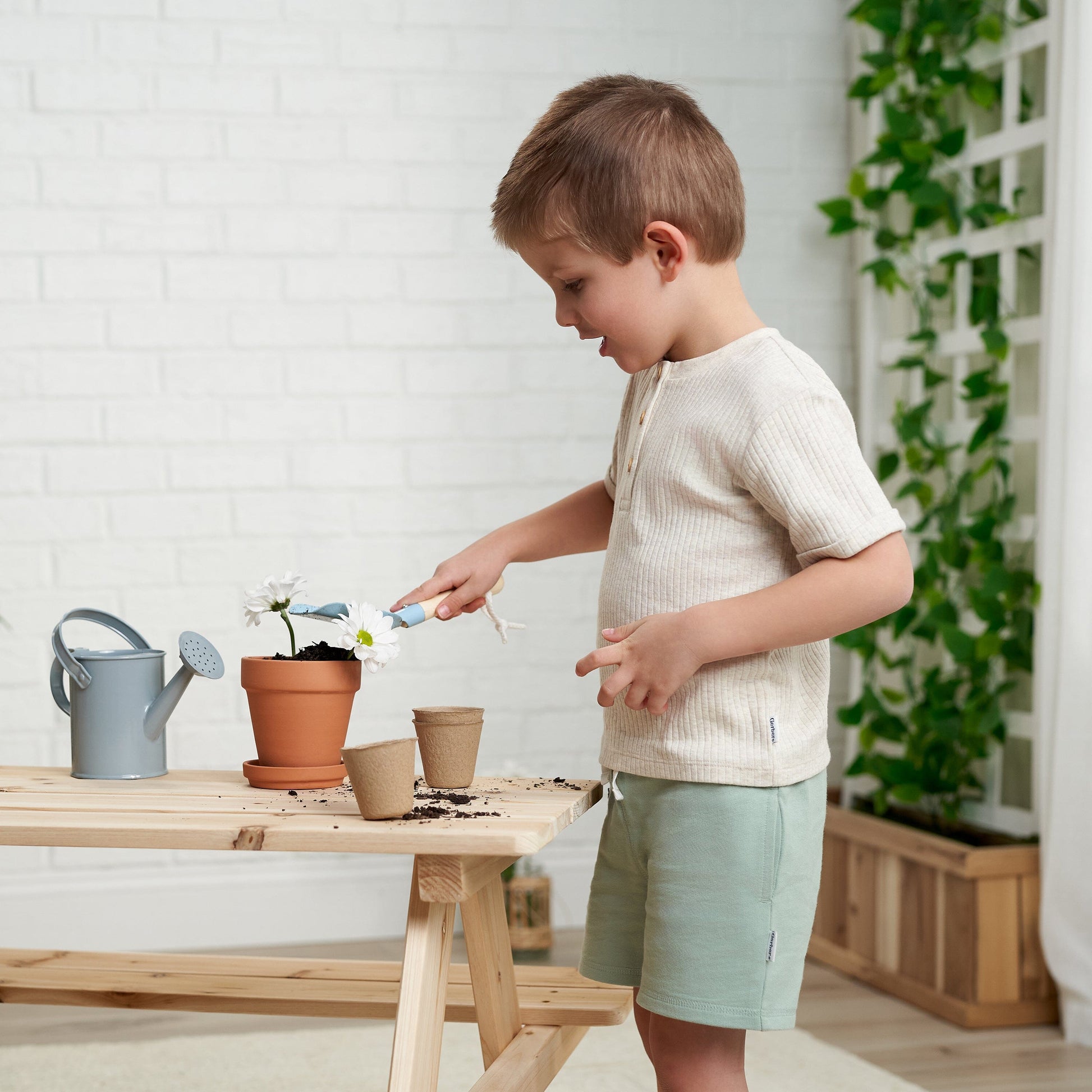 3-Pack Baby & Toddler Boys Tan, Blue, & Green Knit Shorts