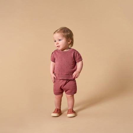 2-Piece Baby Girls Dark Rose Sweater Knit Top and Shorts Set