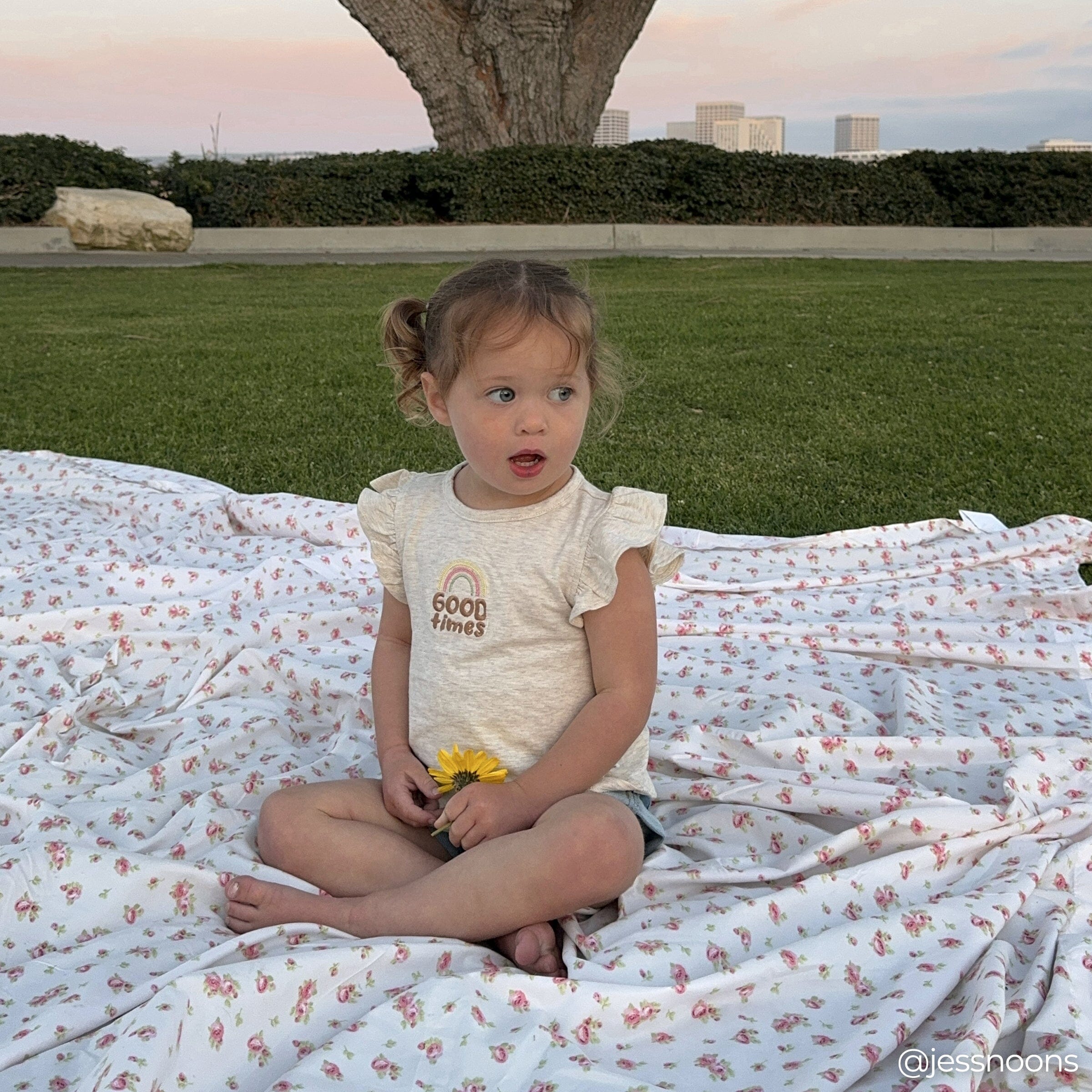 3-Pack Infant and Toddler Girls Good Times T-Shirts tops Gerber® 