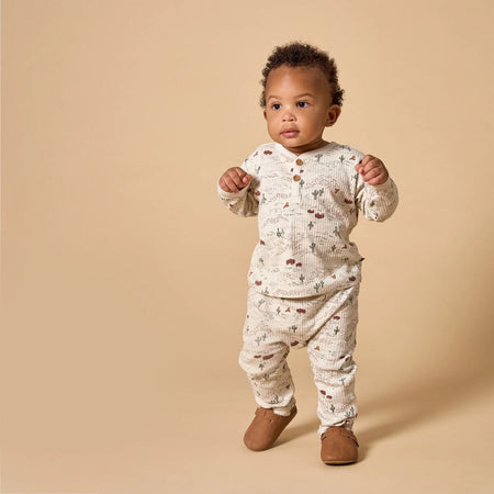 4-Piece Baby Boys Buffalo Desert Henley Tops and Pants Set