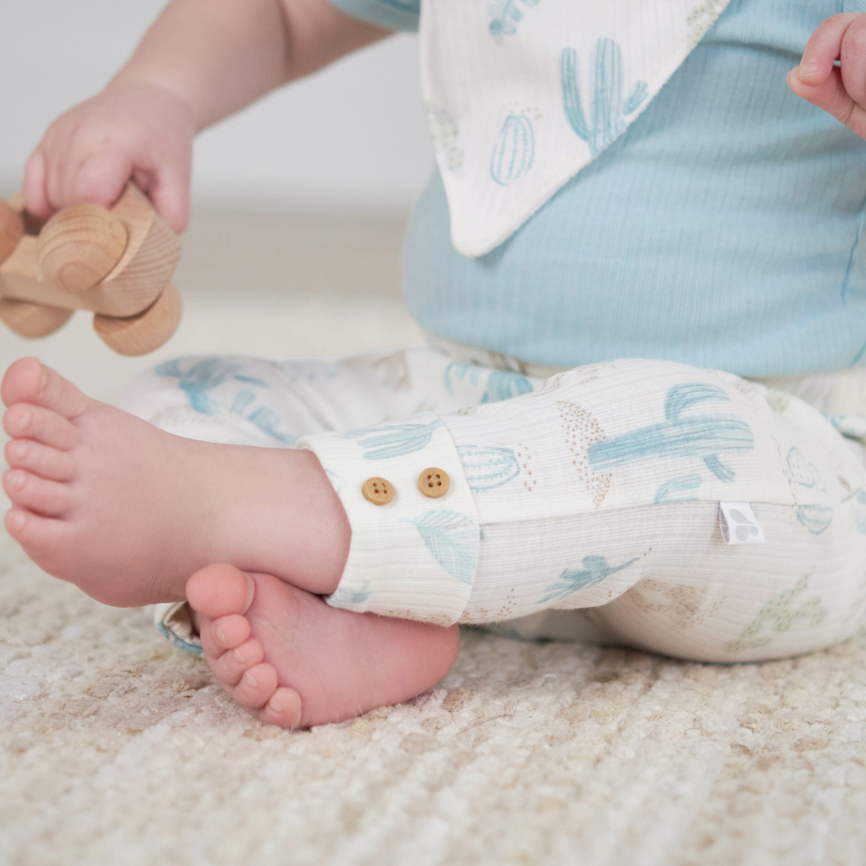 2-Pack Baby Boys Desert Cactus Pants