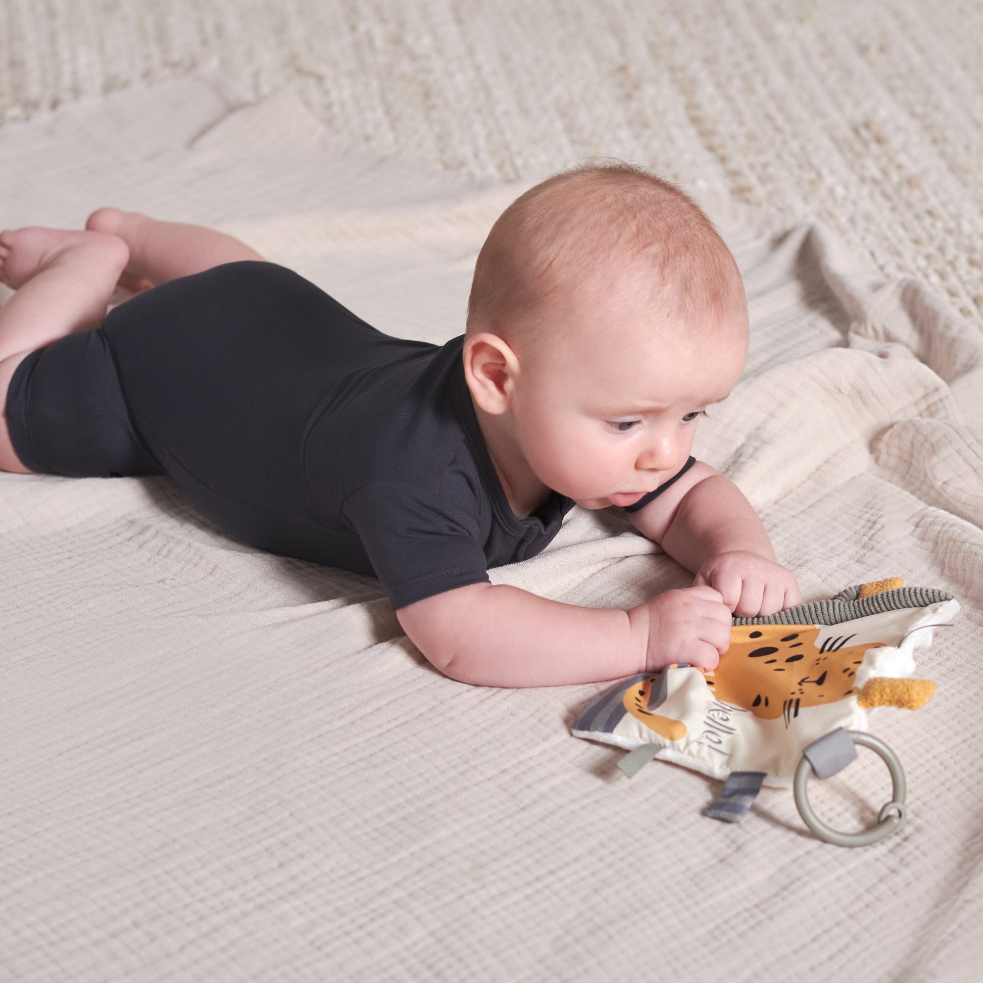 Baby Boys Cheetah Crinkle Toy