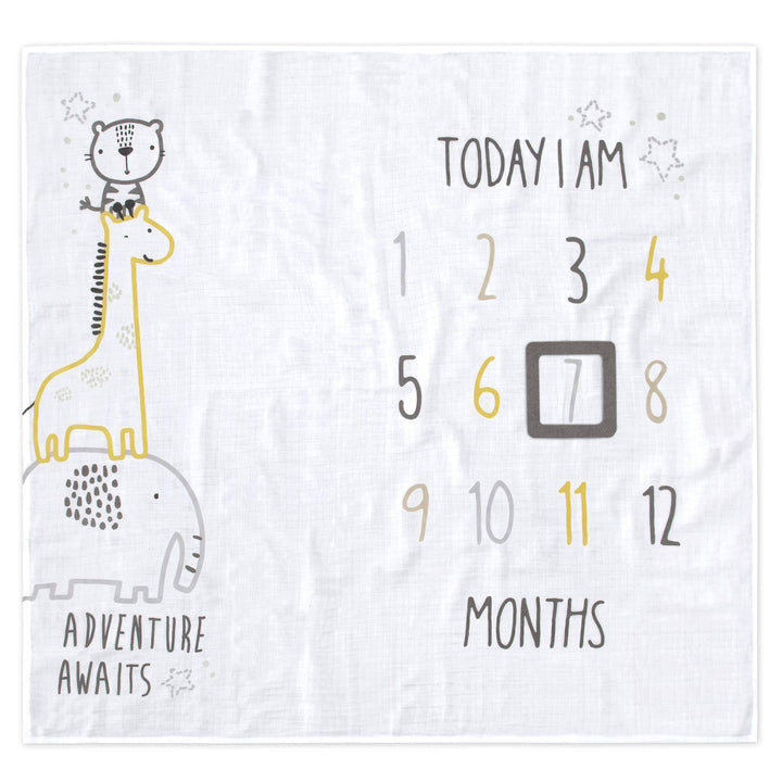 2-Piece Baby Boys Adventure Awaits Milestone Blanket Set-Gerber Childrenswear