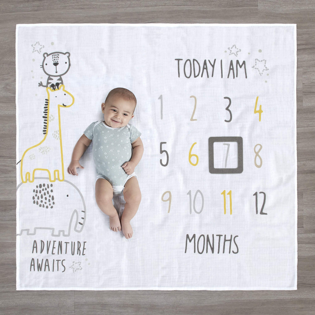 2-Piece Baby Boys Adventure Awaits Milestone Blanket Set – Gerber
