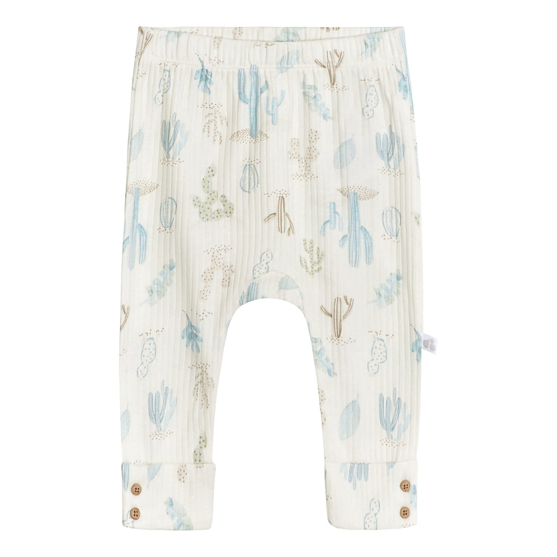 2-Pack Baby Boys Desert Cactus Pants