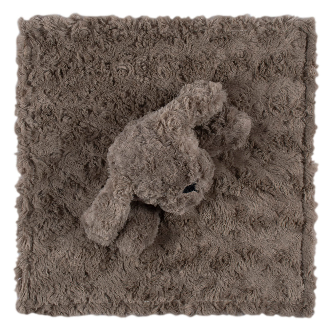 Baby Boys Puppy Security Blanket