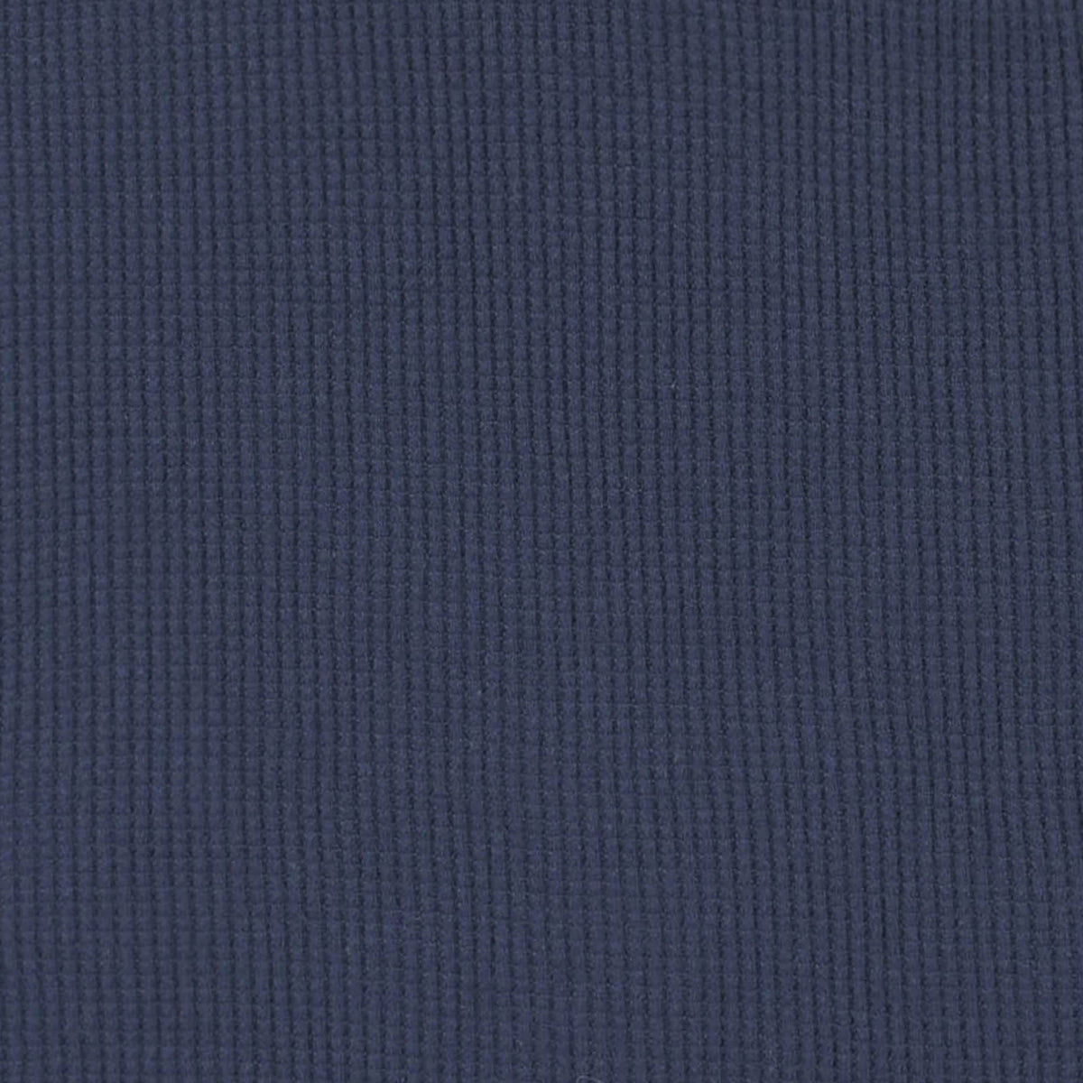 2-Pack Infant & Toddler Boys Dusty Blue & Navy Waffle Knit Henleys