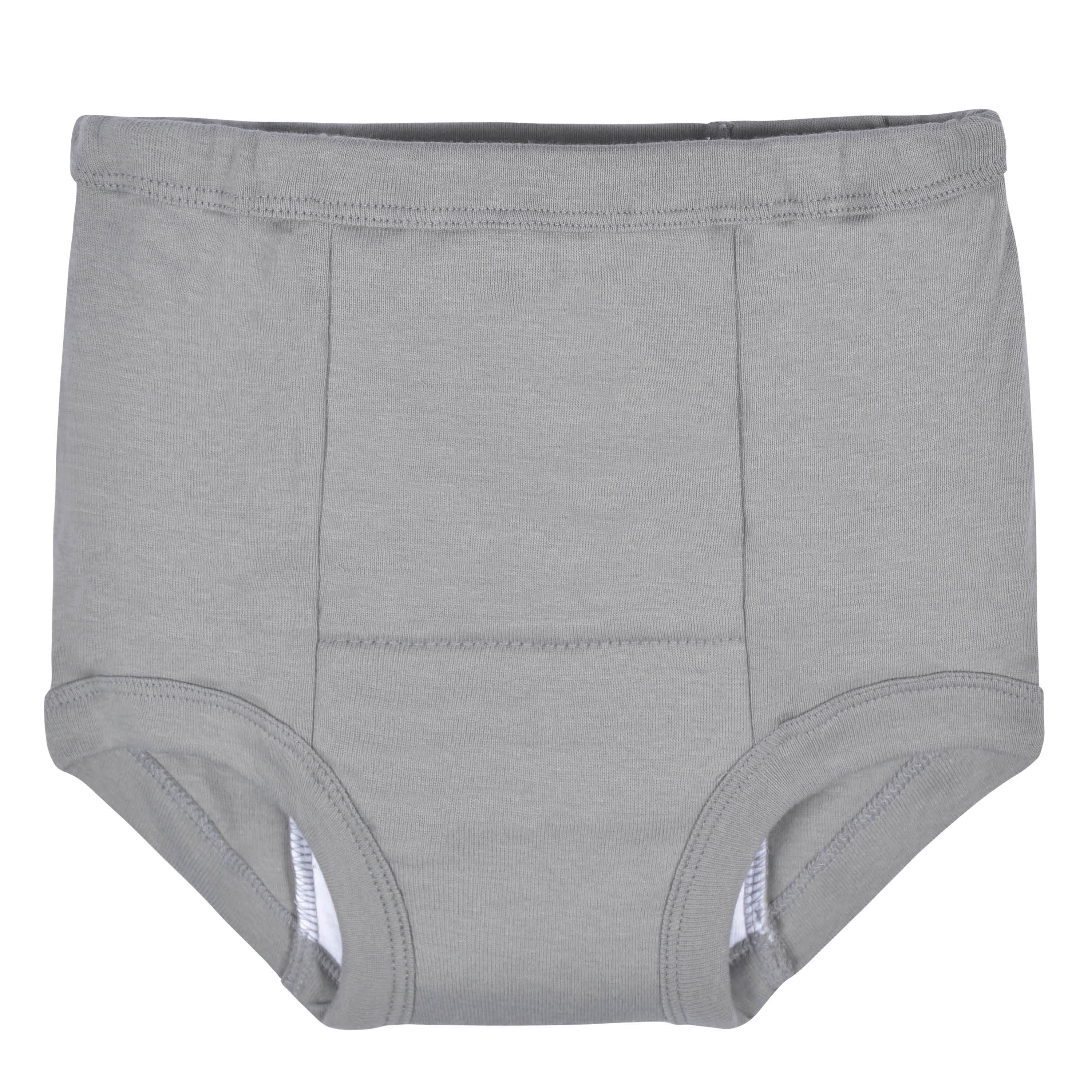 4-Pack Toddler Boys Dinosaur Training Pants