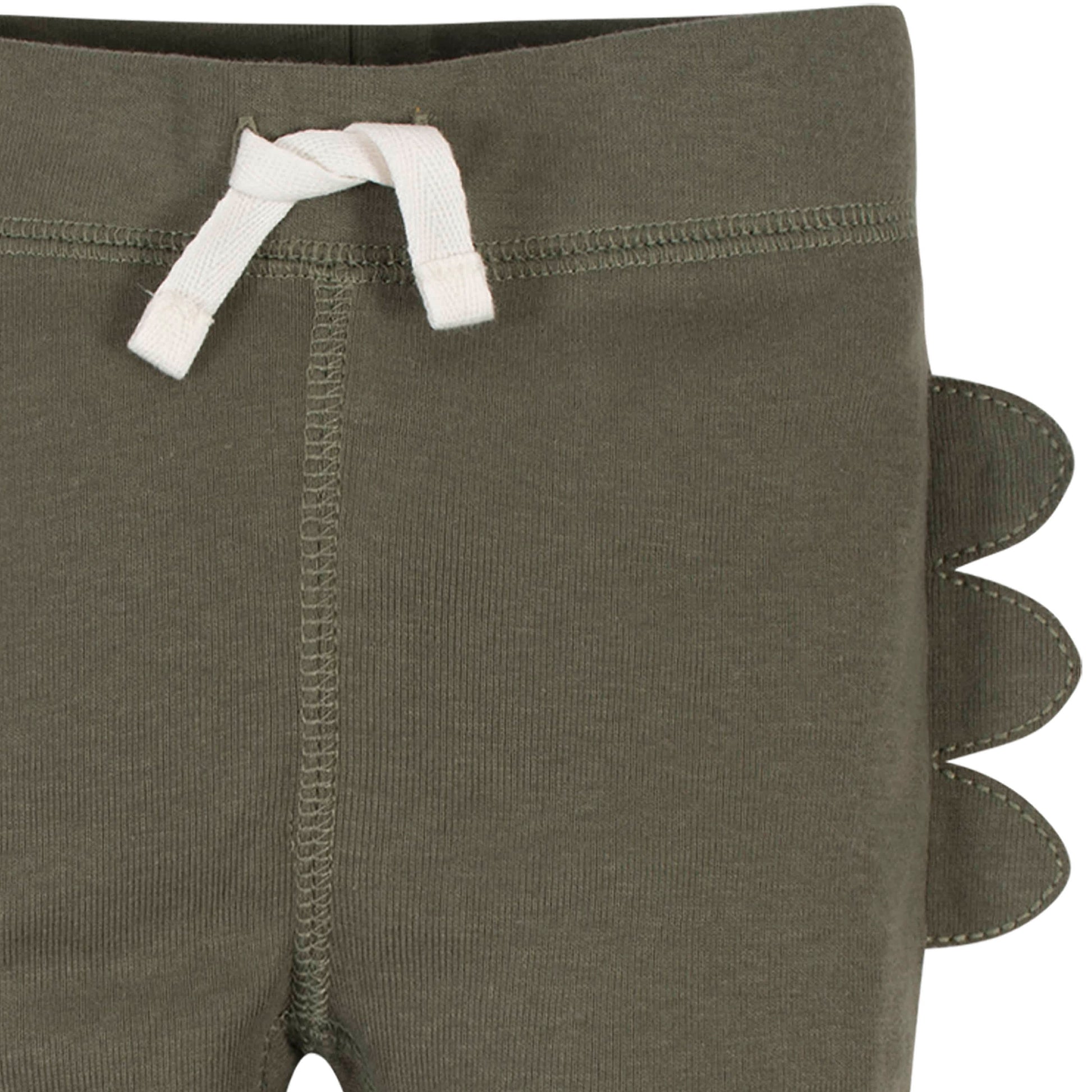 2-Pack Baby Boys Dinosaur Organic Pants