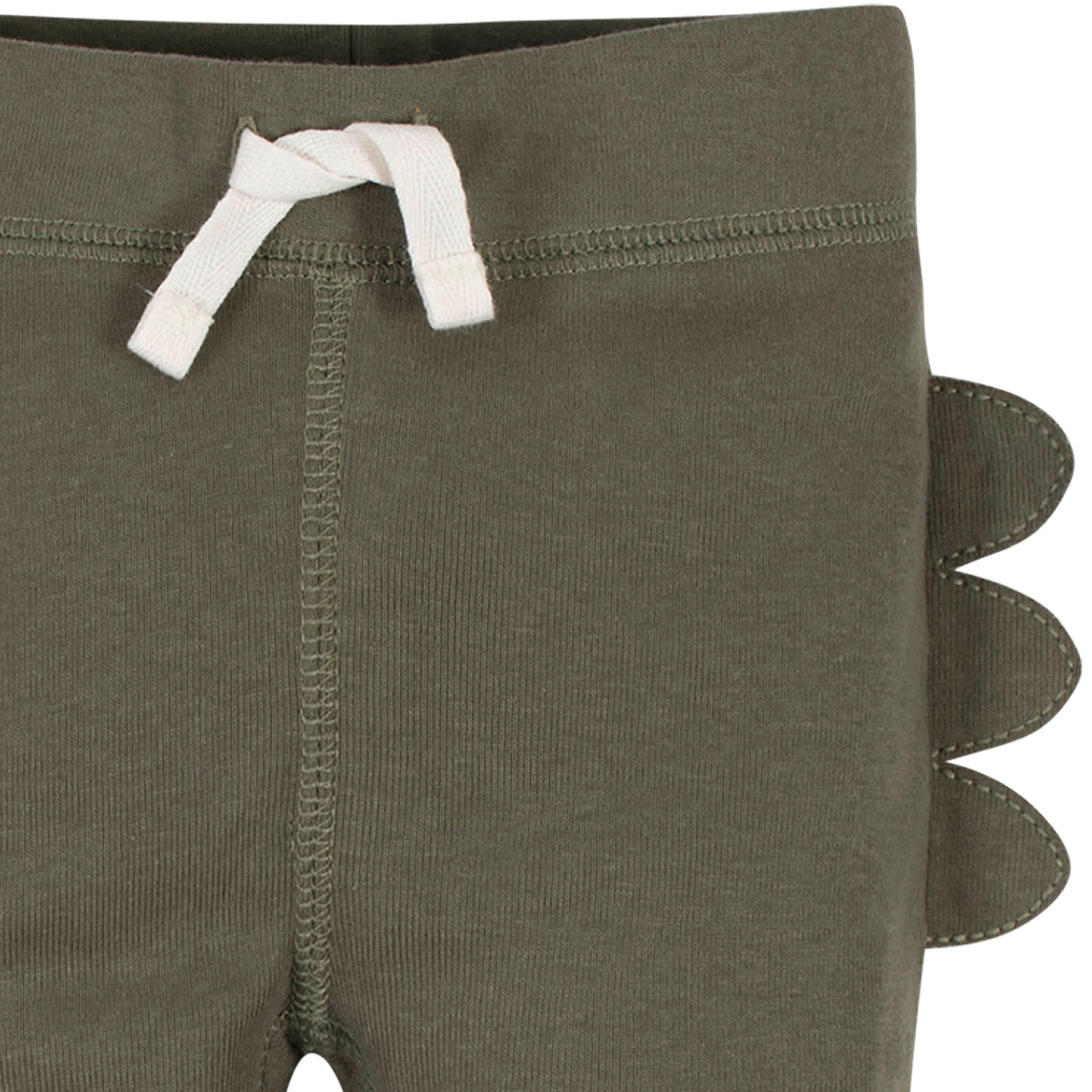 2-Pack Baby Boys Dinosaur Organic Pants